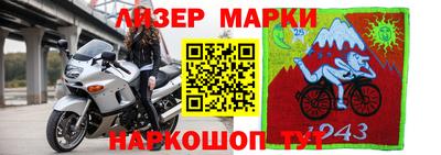 кокс Донской