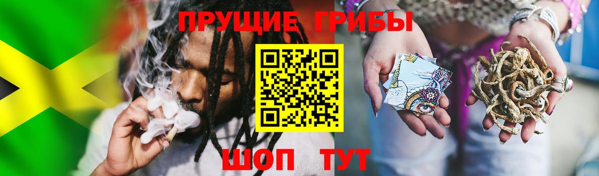 Псилоцибиновые грибы Cubensis Новомосковск